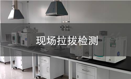 現(xiàn)場拉拔檢測 現(xiàn)場拉拔檢測