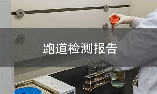 跑道檢測(cè)報(bào)告