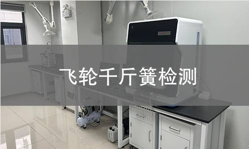 飛輪千斤簧檢測(cè)