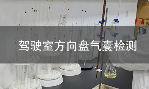 駕駛室方向盤(pán)氣囊檢測(cè)