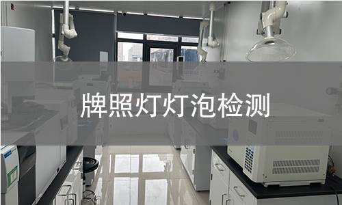 牌照燈燈泡檢測(cè)
