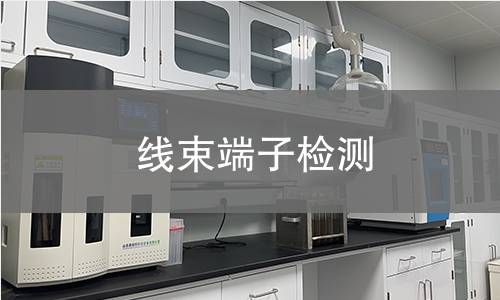 線束端子檢測(cè)