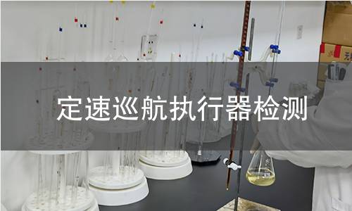 定速巡航執(zhí)行器檢測(cè)