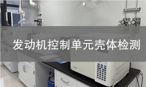 發(fā)動機(jī)控制單元殼體檢測