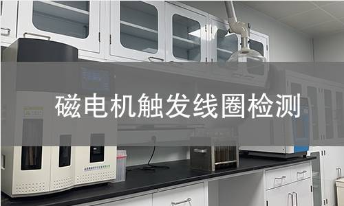 磁電機觸發(fā)線圈檢測