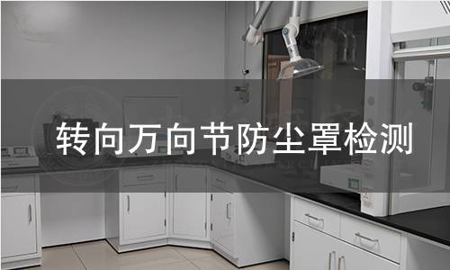 轉(zhuǎn)向萬向節(jié)防塵罩檢測