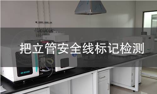 把立管安全線標(biāo)記檢測