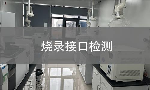 燒錄接口檢測(cè)