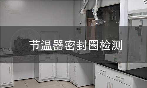 節(jié)溫器密封圈檢測