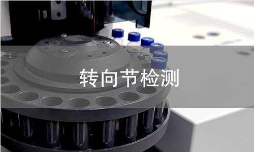 轉(zhuǎn)向節(jié)檢測(cè)