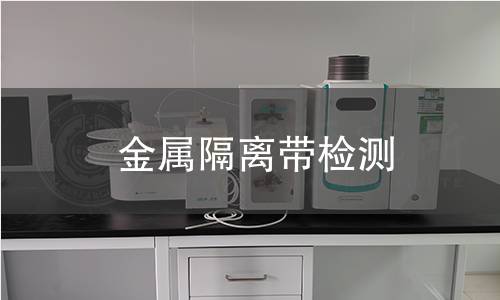 金屬隔離帶檢測