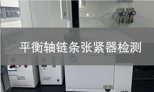 平衡軸鏈條張緊器檢測(cè)