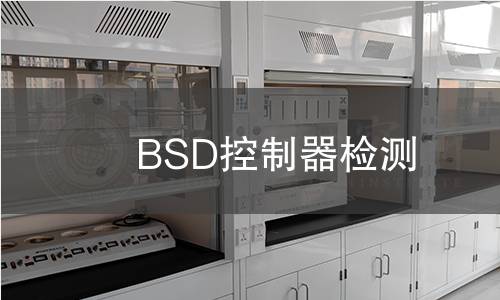 BSD控制器檢測