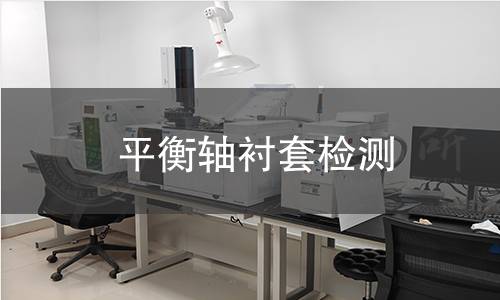 平衡軸襯套檢測(cè)