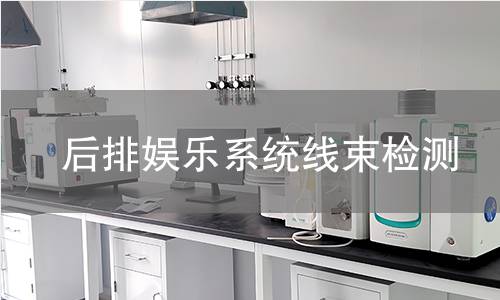 后排娛樂系統(tǒng)線束檢測