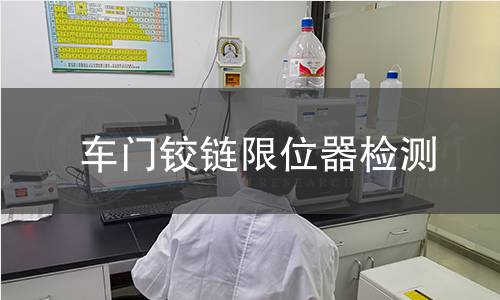 車門鉸鏈限位器檢測(cè)