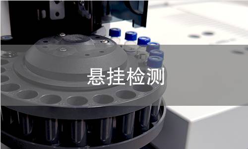 懸掛檢測