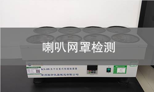 喇叭網(wǎng)罩檢測(cè)