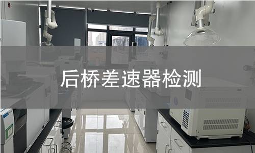 后橋差速器檢測(cè)