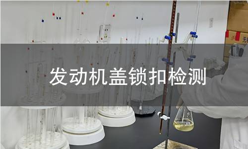 發(fā)動(dòng)機(jī)蓋鎖扣檢測(cè)