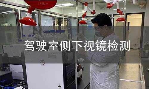 駕駛室側(cè)下視鏡檢測