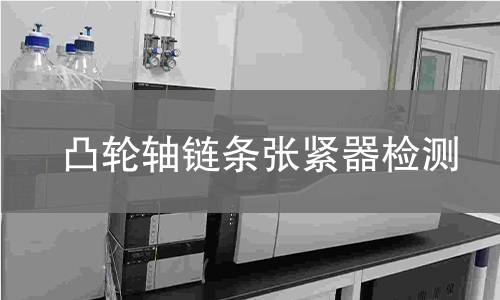 凸輪軸鏈條張緊器檢測