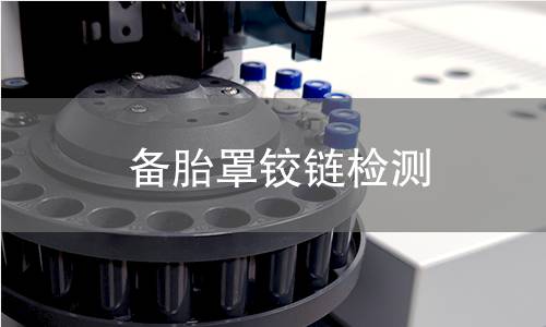 備胎罩鉸鏈檢測