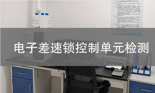 電子差速鎖控制單元檢測