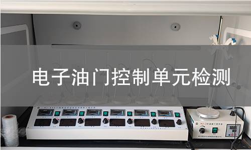 電子油門控制單元檢測(cè)