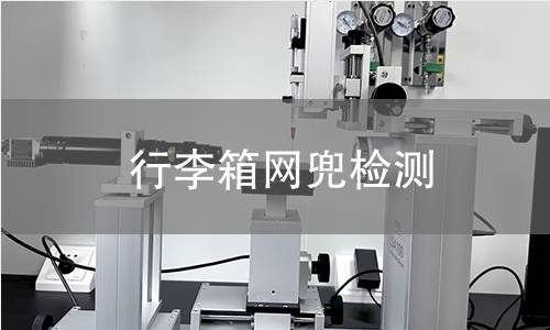 行李箱網(wǎng)兜檢測