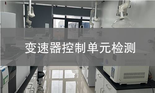 變速器控制單元檢測(cè)