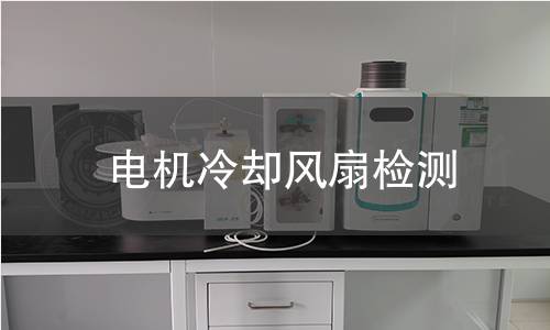 電機(jī)冷卻風(fēng)扇檢測(cè)