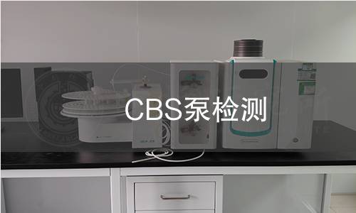 CBS泵檢測