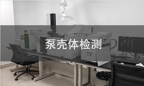 泵殼體檢測(cè)