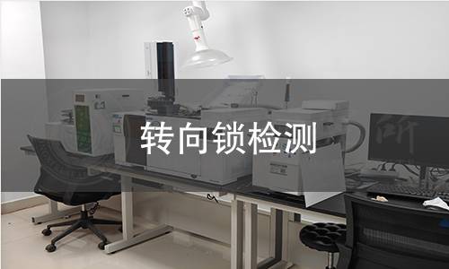 轉(zhuǎn)向鎖檢測(cè)