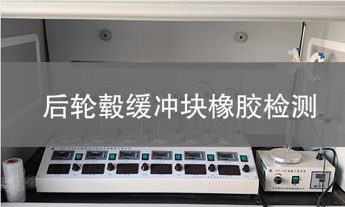 后輪轂緩沖塊橡膠檢測