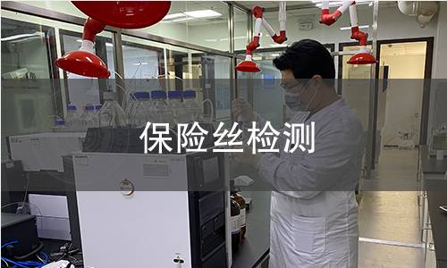 保險絲檢測