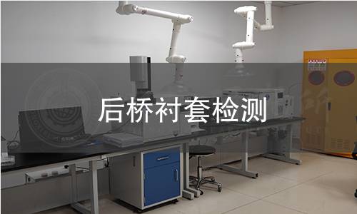 后橋襯套檢測