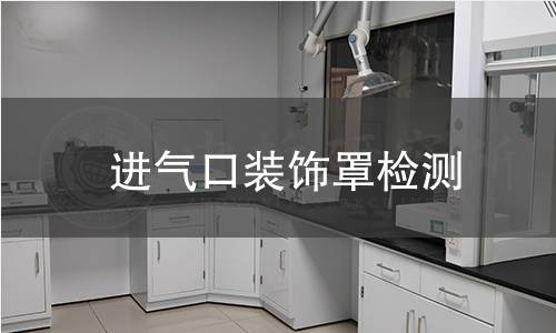 進(jìn)氣口裝飾罩檢測