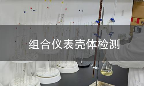 組合儀表殼體檢測