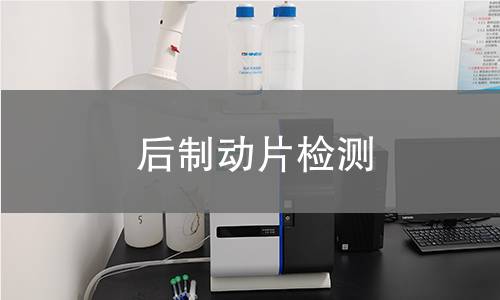 后制動(dòng)片檢測(cè)