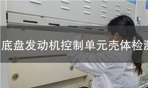 底盤發(fā)動(dòng)機(jī)控制單元?dú)んw檢測(cè)