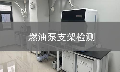 燃油泵支架檢測