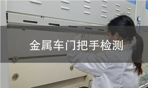 金屬車門把手檢測(cè)