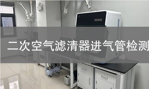 二次空氣濾清器進(jìn)氣管檢測