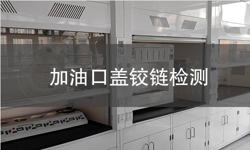 加油口蓋鉸鏈檢測