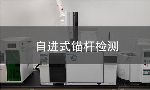 自進式錨桿檢測