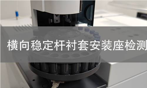 橫向穩(wěn)定桿襯套安裝座檢測