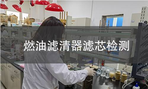 燃油濾清器濾芯檢測