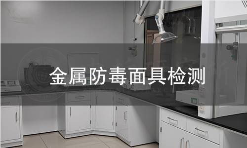 金屬防毒面具檢測